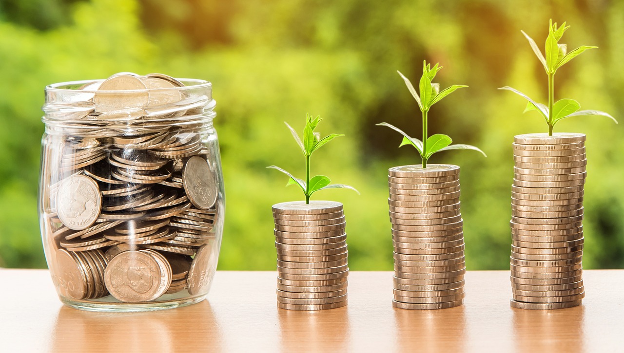 قطع نقدية مكدّسة إلى جوار قطع أخرى تنمو منها نباتات