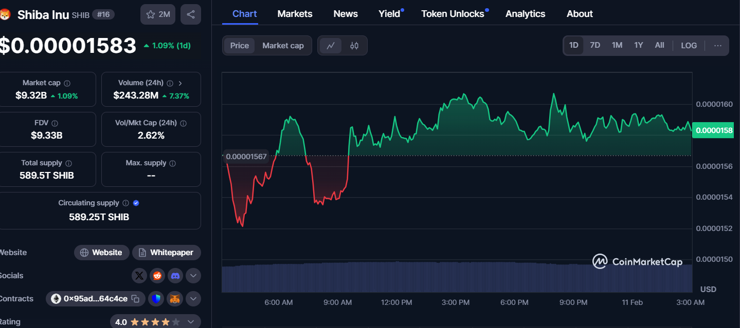 صفحة بيانات عملة شيبا إينو (Shiba Inu) على موقع CoinMarketCap