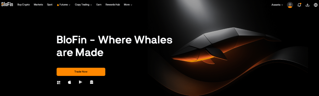 BloFin homepage