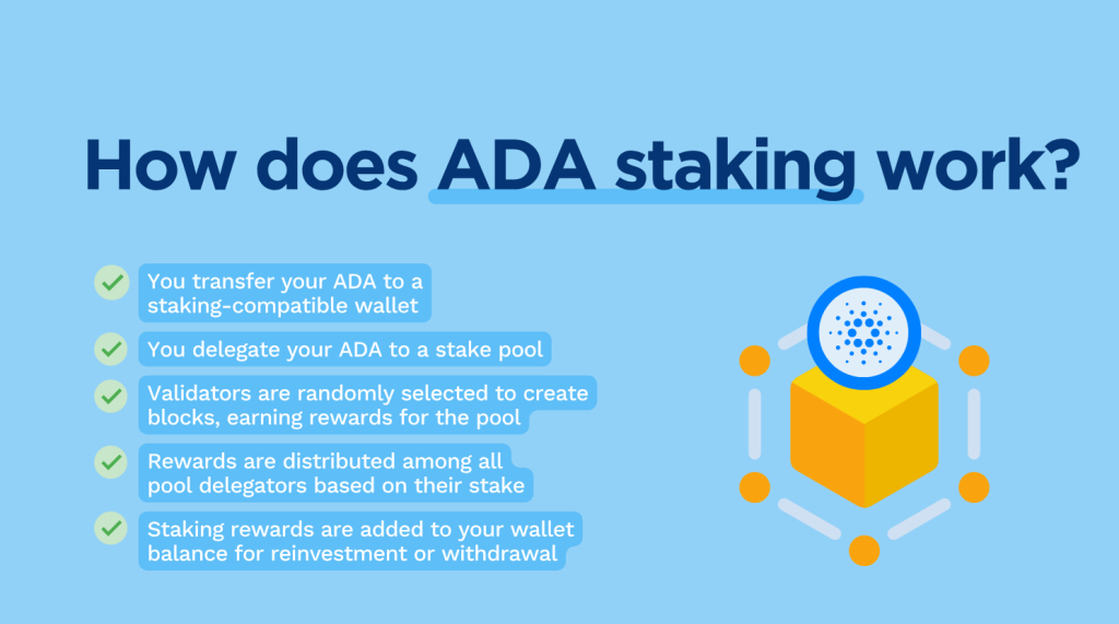 Jak funguje cardano staking?