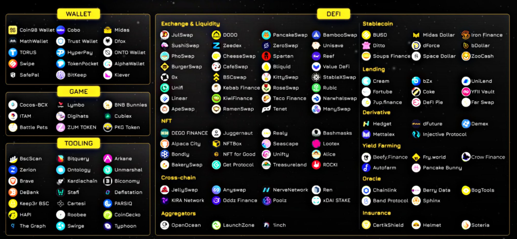 Binance Chain projekty
