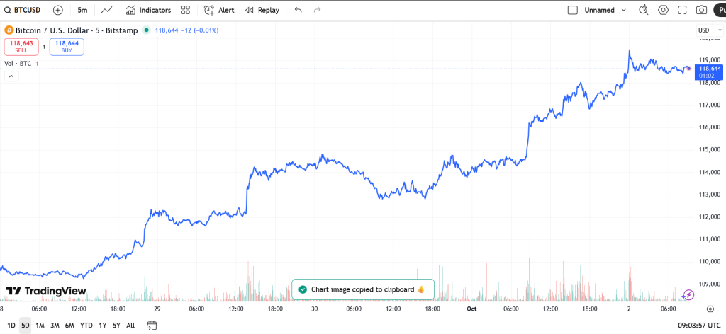 Také bitcoin zažil méně šťastné období. Už se ale pomalu stabilizuje.
