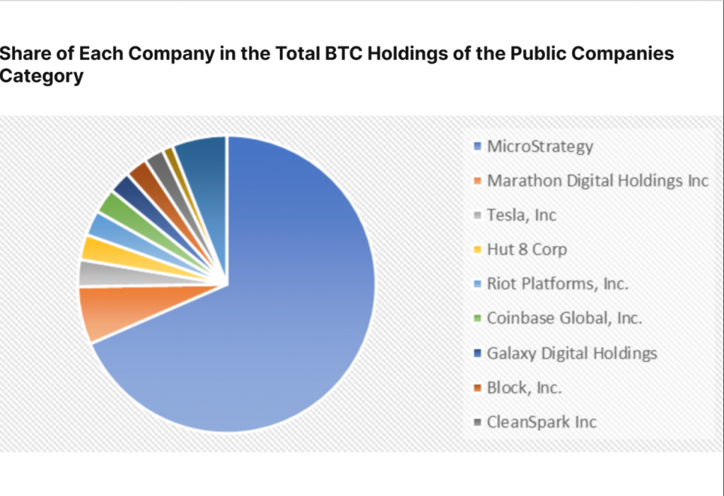 Bitcoin holdingy a podíl firem na trhu