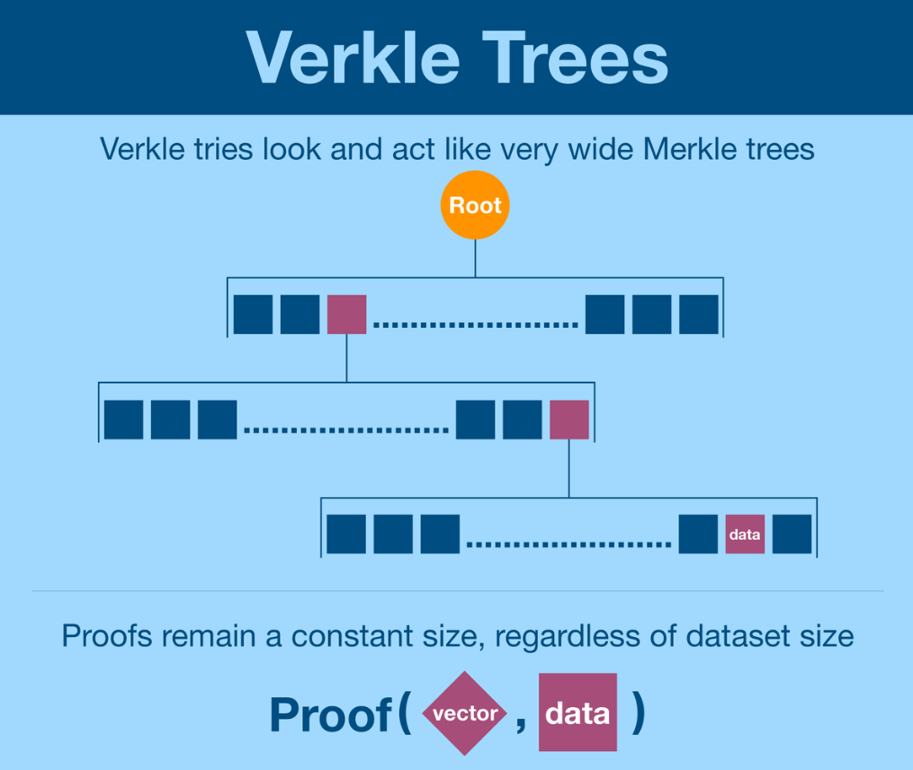 Verkle trees - ethereum predikce