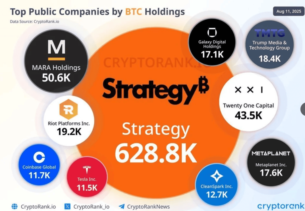 Institucionální investoři BTC
