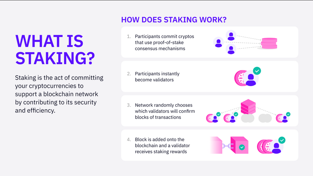 staking solana peněženka