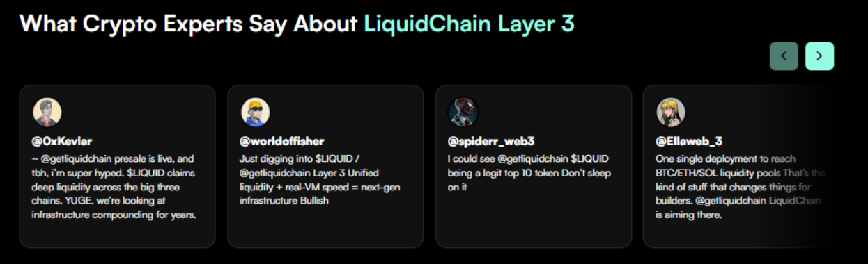 LiquidChain Expertenmeinungen