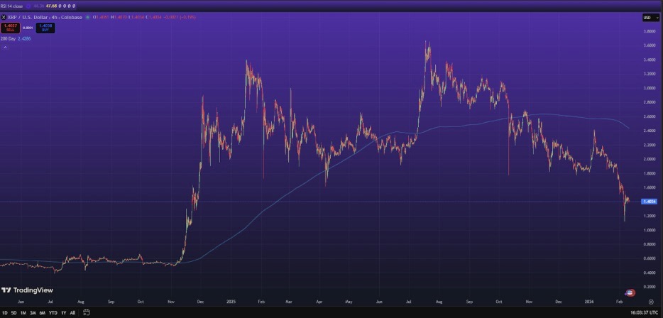XRP TraidingView