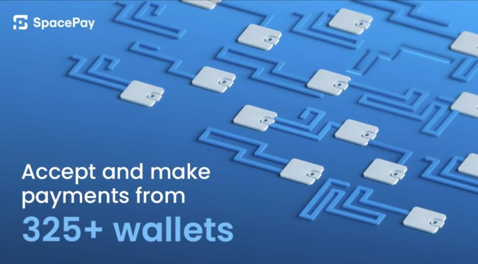 SpacePay 325+ wallets