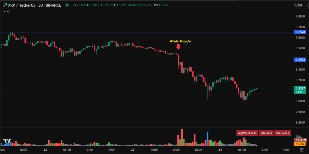 XRP TetherUS 24.07.2025