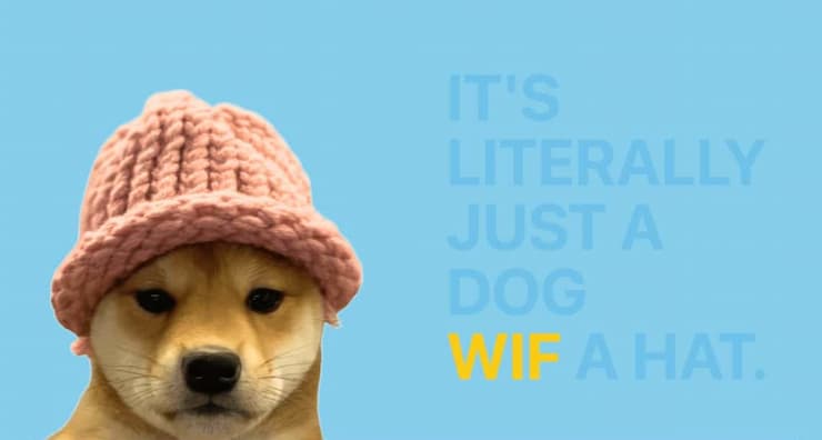Dogwimag memecoins de solana