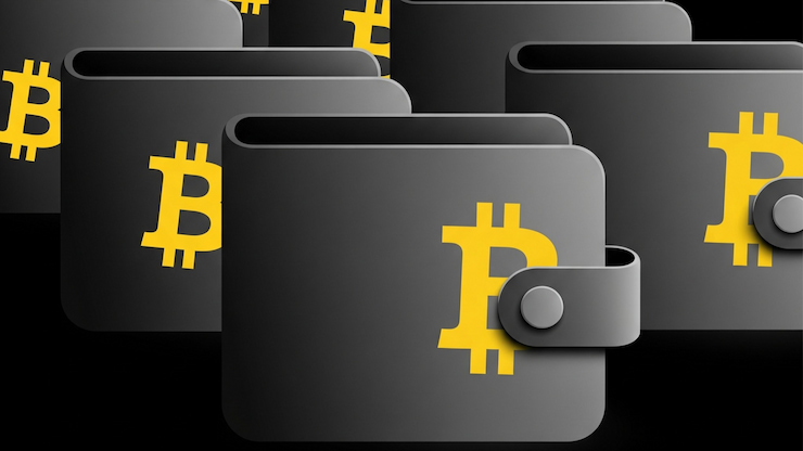 mejores wallets para Bitcoin