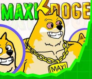 maxi doge lanzado