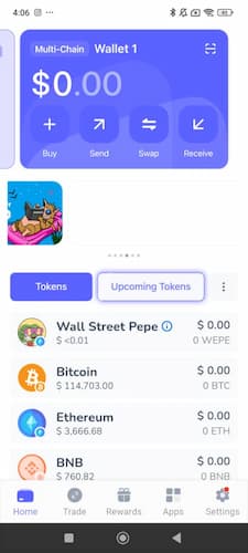Cómo comprar el token Maxi Doge