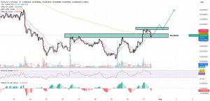 gráfico de pump usd
