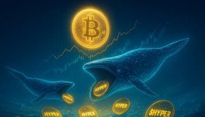 Las ballenas se siguen centrando en Bitcoin Hyper por su potencial a largo plazo