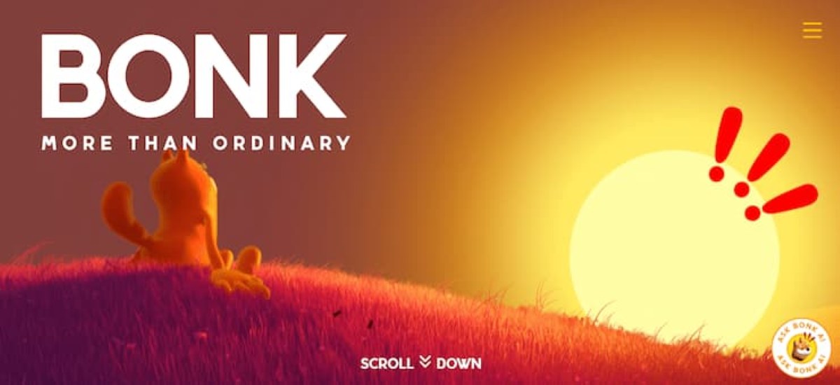 bonk es una memecoin de solana