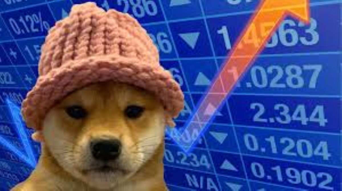 dogwifhat- memecoin de solana