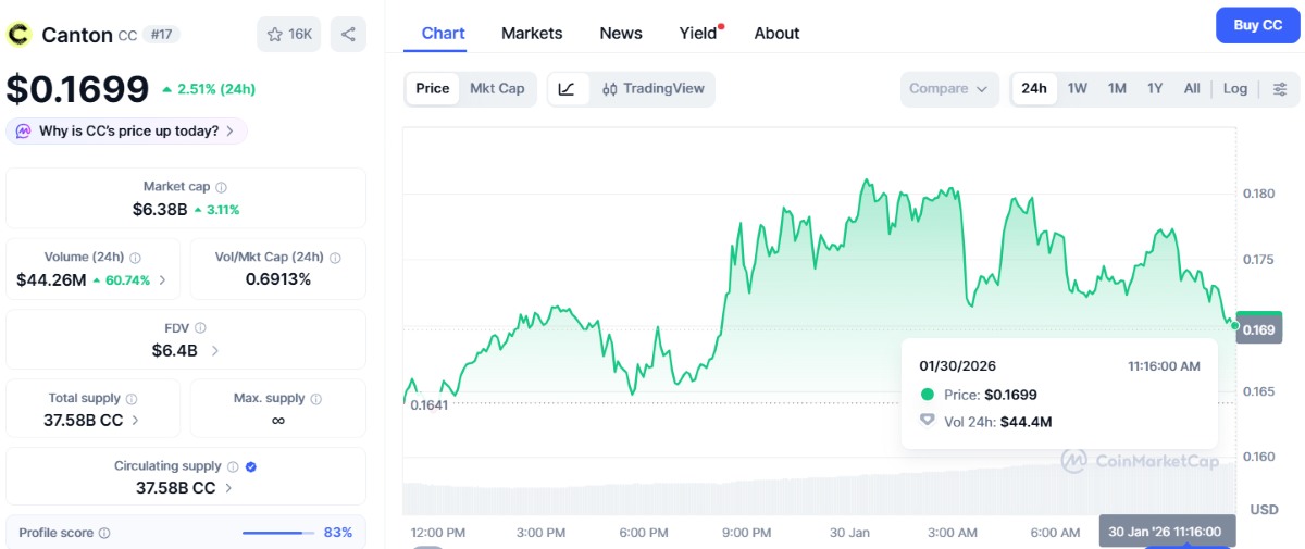 gráfica de canton en coinmarketcap- mejores criptomonedas