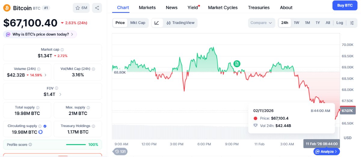 precio de bitcoin hoy 11 de febrero
