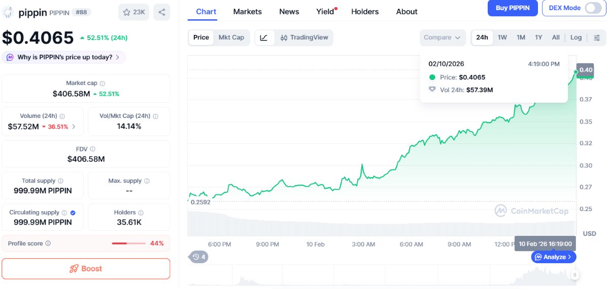 pippin es una de las altcoins que más han subido hoy