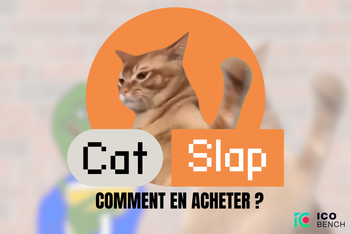 Acheter Cat Slap