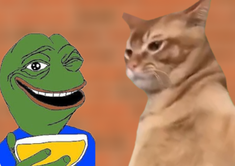 catslap meme coin