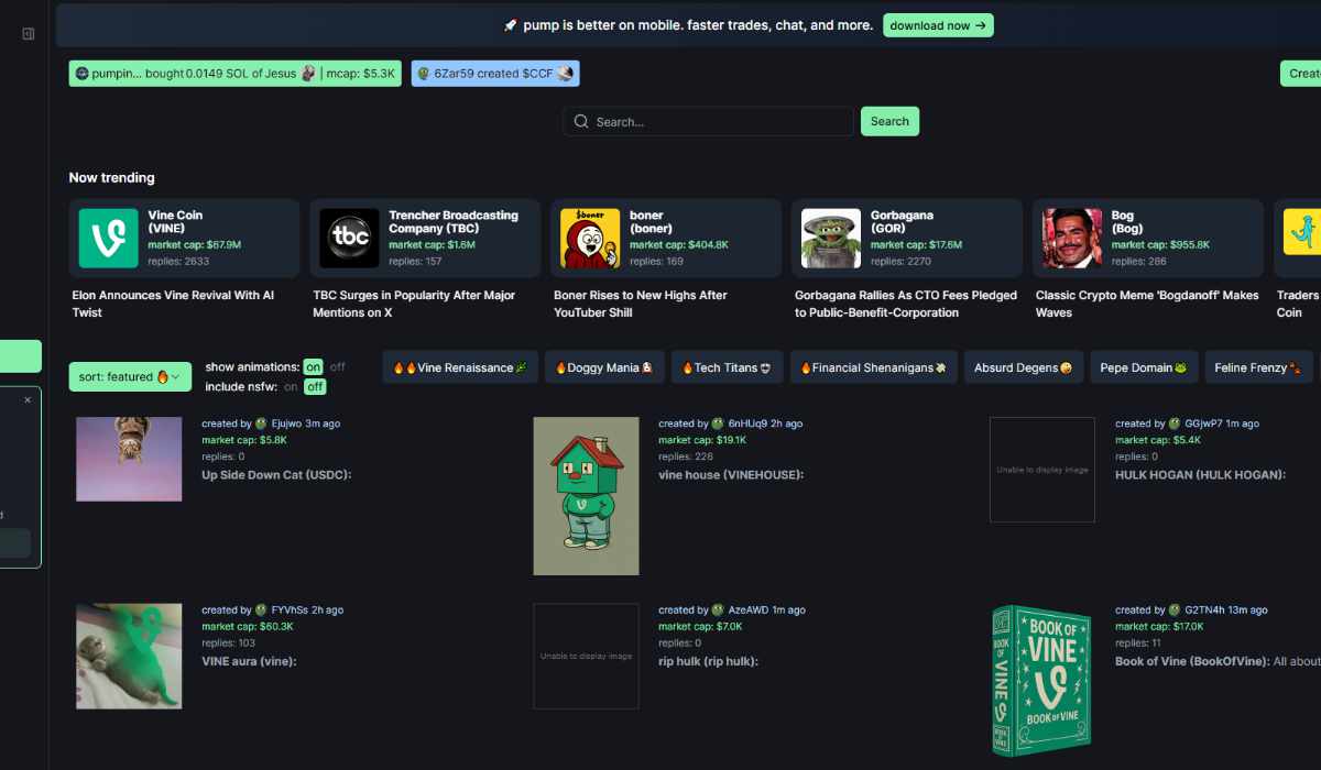 pump.fun homepage