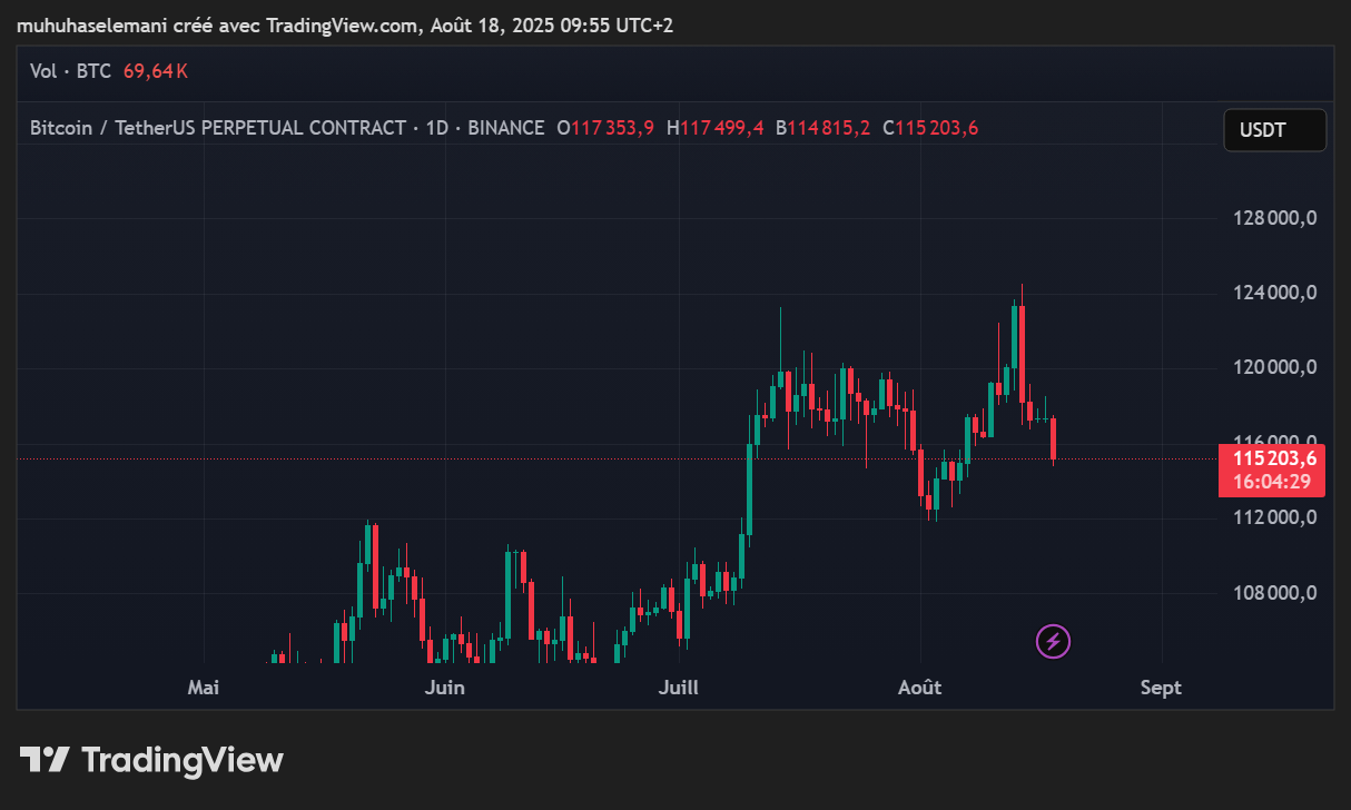 Bitcoin chute sous 116 000 dollars