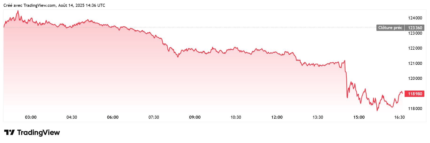 Bitcoin chute