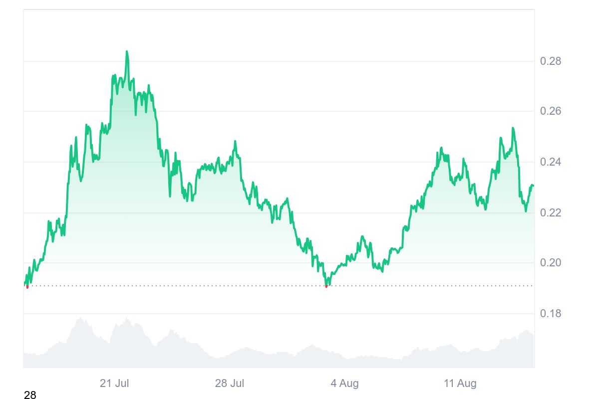 Dogecoin USDT