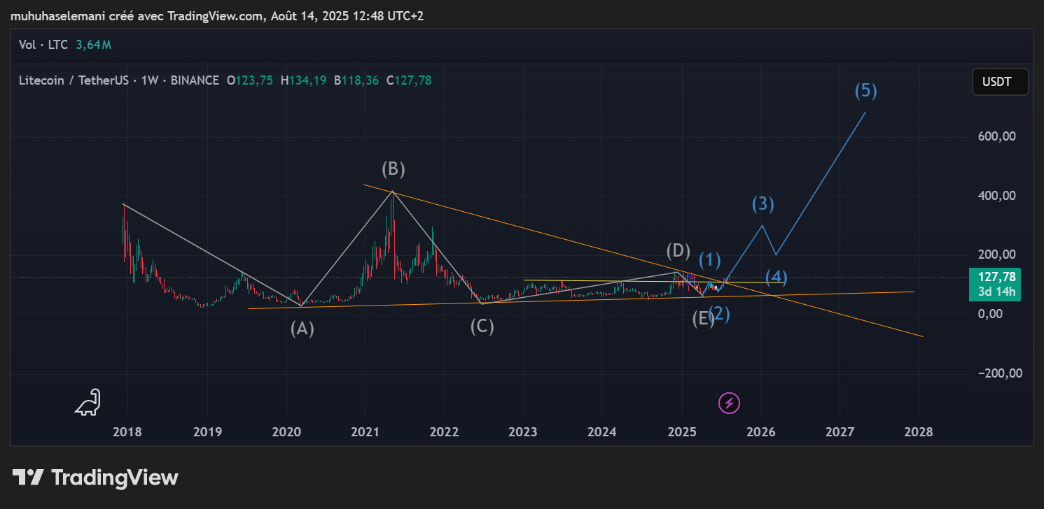 Litecoin USDT Bull run