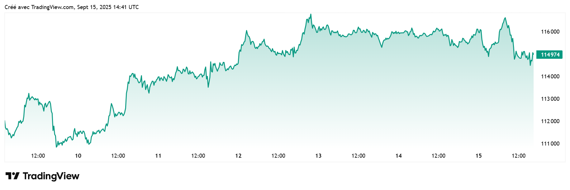 Bitcoin vs USDT