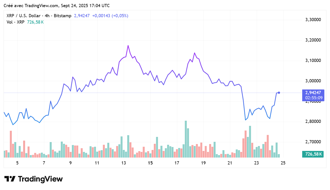 XRP USDT Crypto