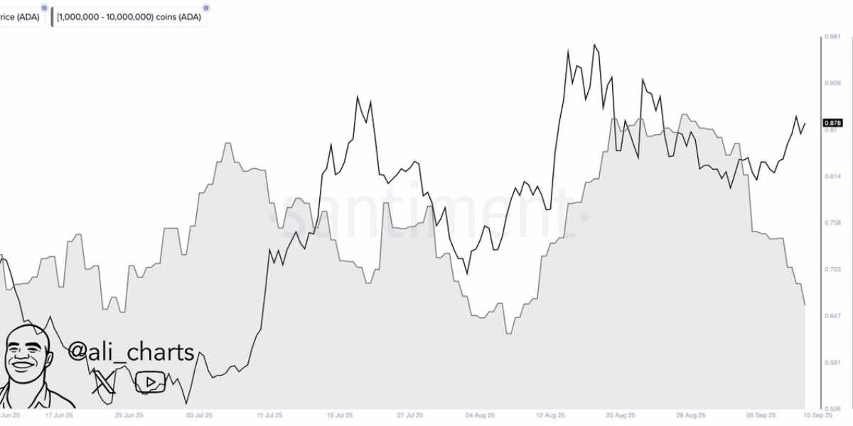 ali_charts - ADA tweet - 11.09.2025