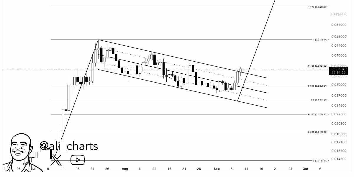ali_charts - PENGU - 09.09.2025
