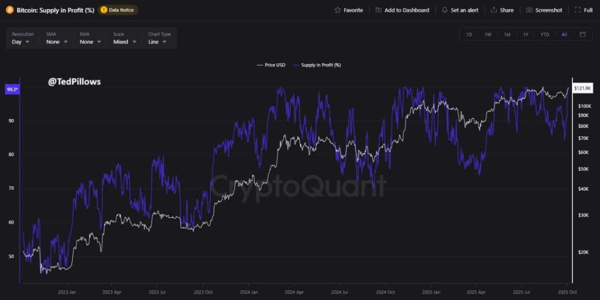 @TedPillows - 99,3 % Offre Bitcoin en positif