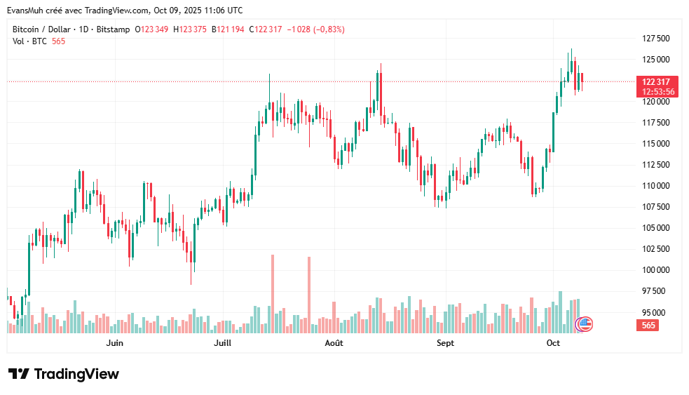 Bitcoin cours daily