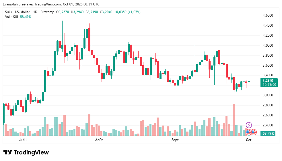 Cours crypto polkadot