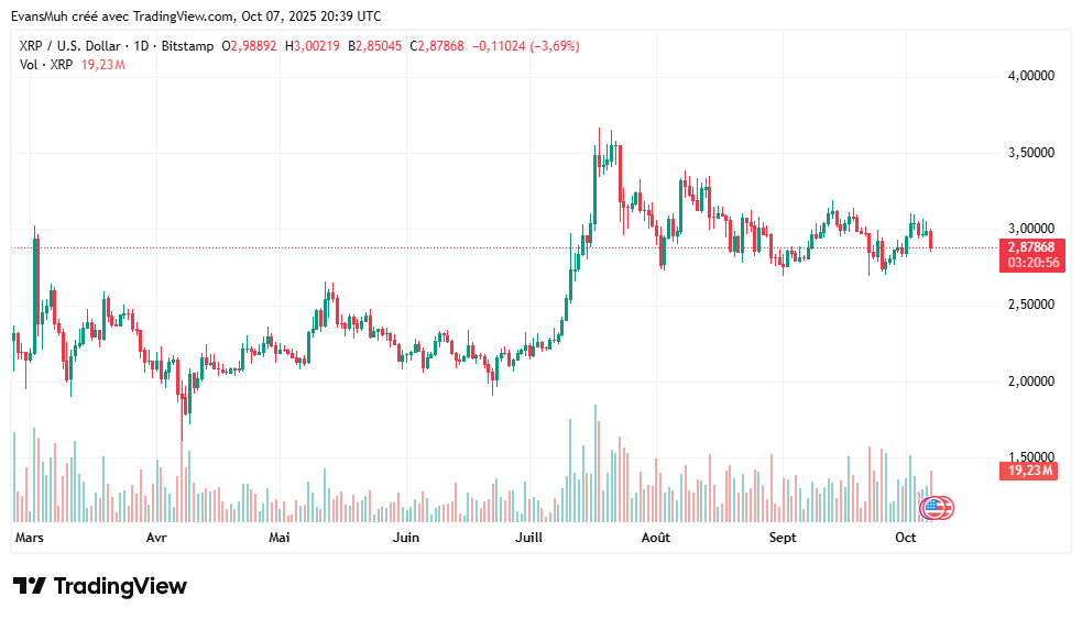  XRP cous daily