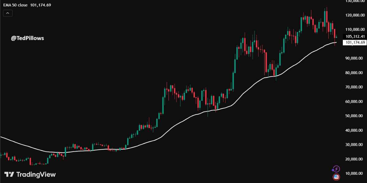 @TedPillows - BTC - EMA 50 semaines
