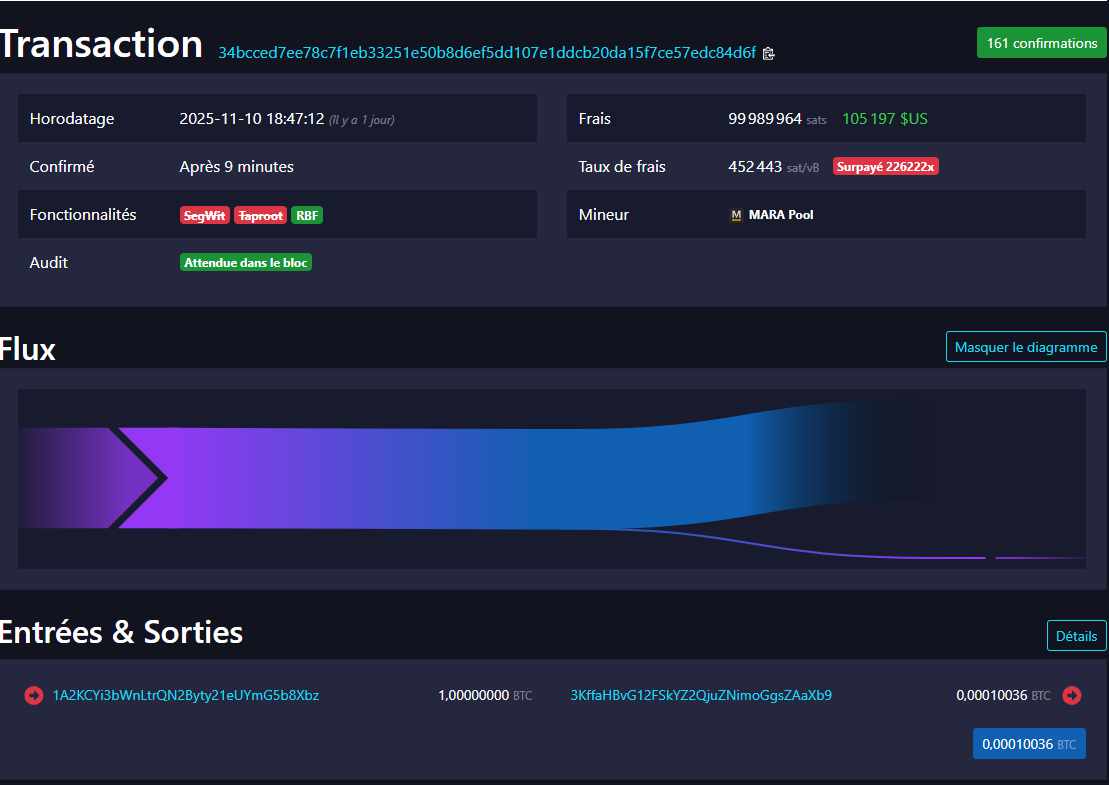 Inédit : il paye 105 000 $ de frais pour un transfert BTC