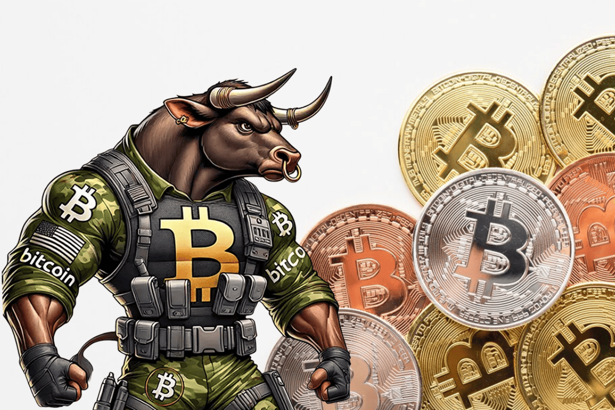 btc bull run