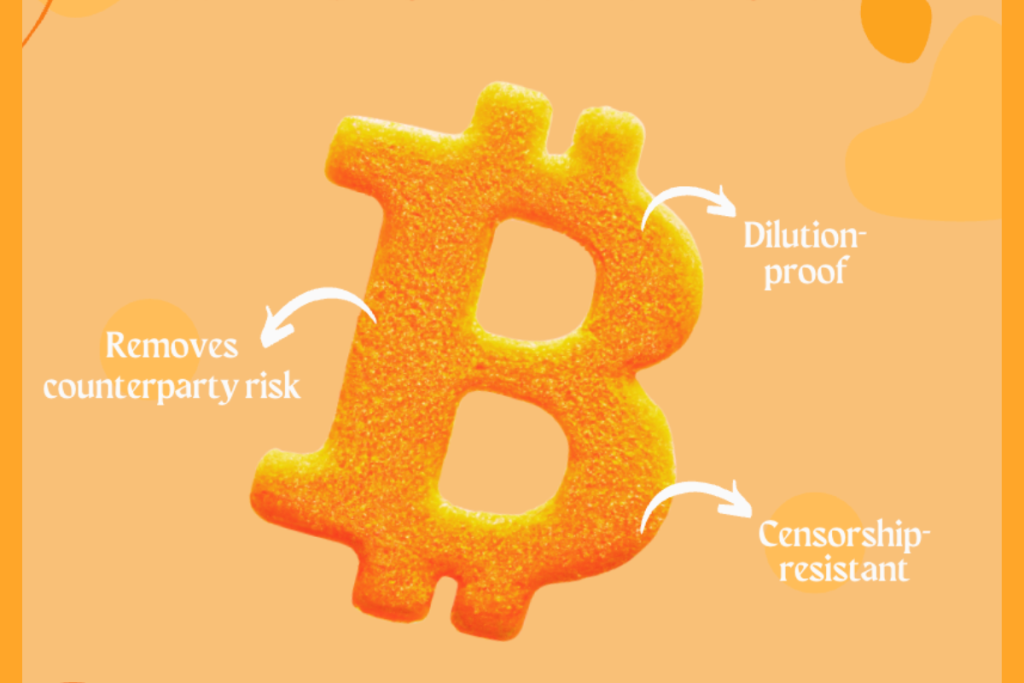 crypto bull run