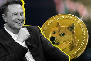 elon musk dogecoin