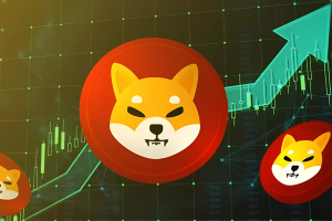 shiba inu rise 25.06