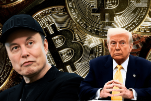 trump and musk support bitcoin