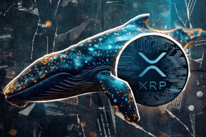 xrp 2700 whales