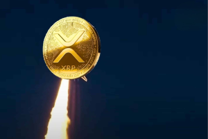 xrp raise