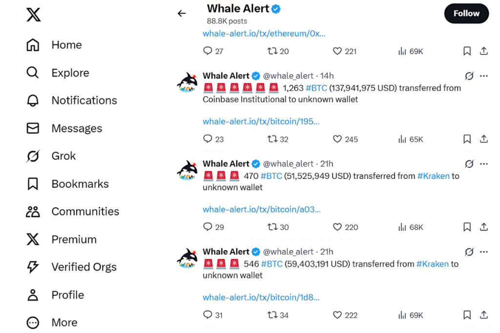 whale alert x